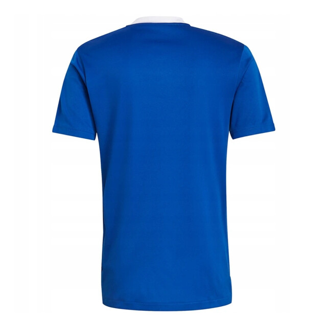 Adidas Heren tiro 21 trainingsshirt UTMR1304_blue large