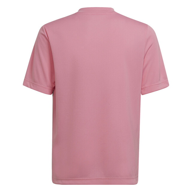 Adidas Kinder/kids entrada 22 grafische trui UTMR1440_blackpink large