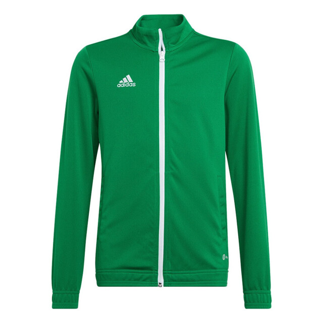 Adidas Kinder/kinder entrada 22 track jacket UTMR1465_green large