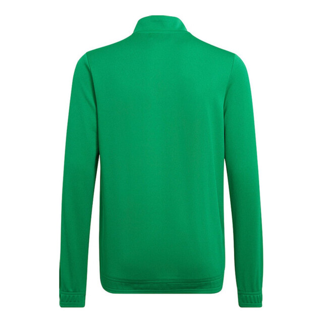 Adidas Kinder/kinder entrada 22 track jacket UTMR1465_green large