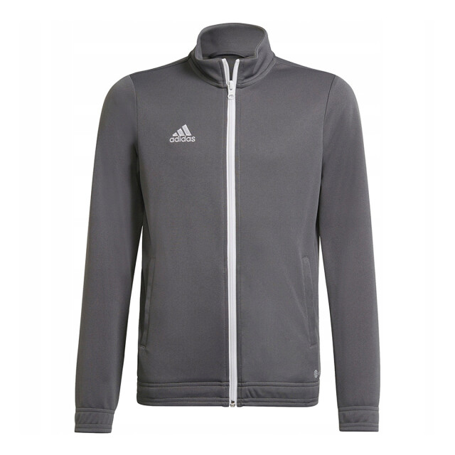 Adidas Kinder/kinder entrada 22 jas UTMR1480_grey large