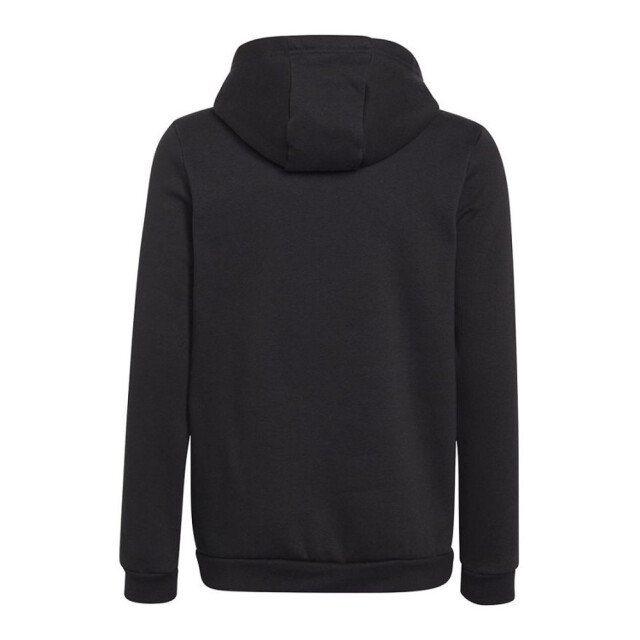 Adidas Kinderen/kinderen entrada 22 hoodie UTMR1455_black large