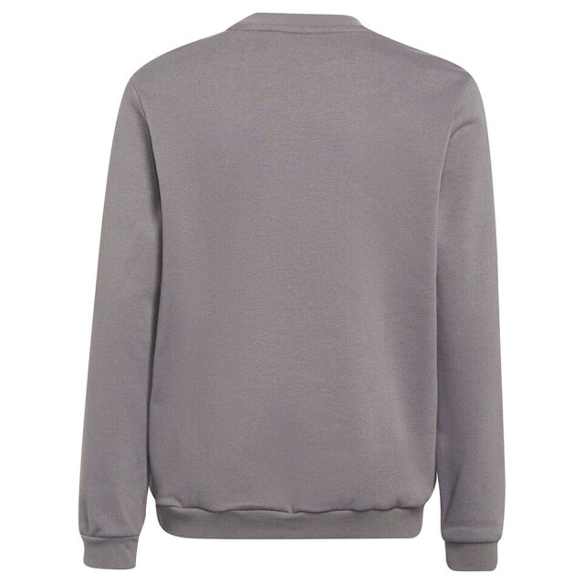 Adidas Kinderen/kinderen entrada 22 sweatshirt UTMR1631_grey large