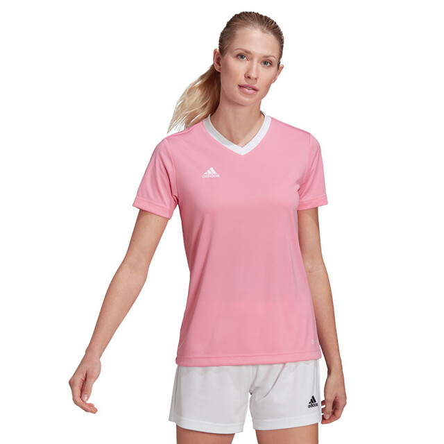 Adidas Dames entrada 22 jersey UTMR1619_pink large