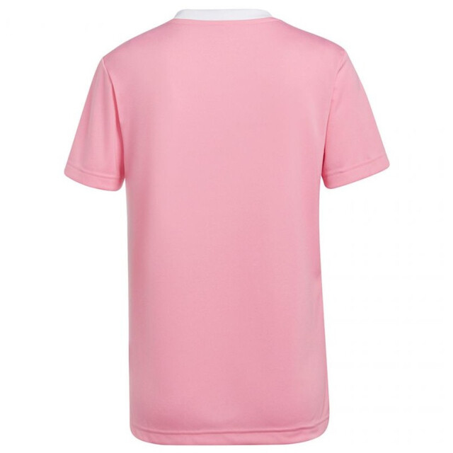 Adidas Dames entrada 22 jersey UTMR1619_pink large