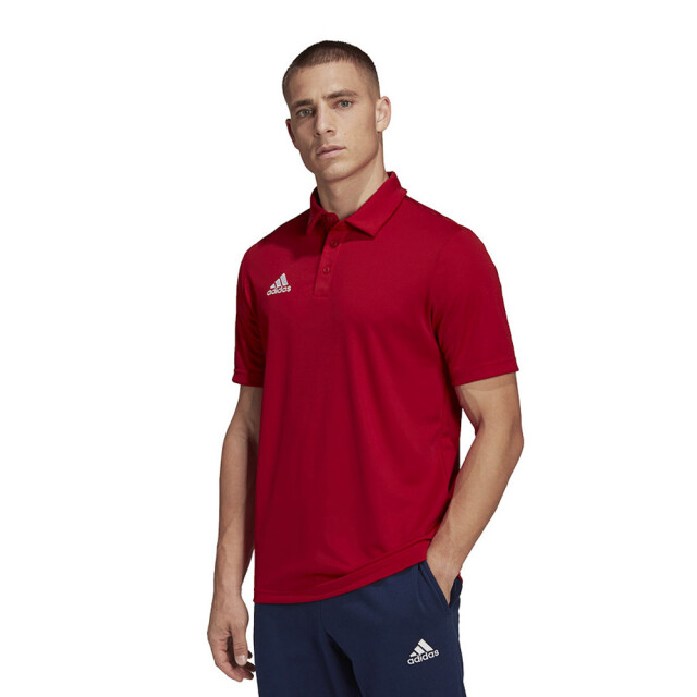 Adidas Heren entrada 22 poloshirt UTMR1717_red large