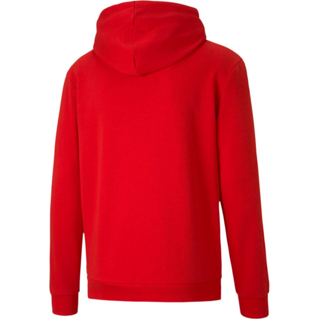 Puma Heren teamgoal 23 hoodie UTMR1146_red large