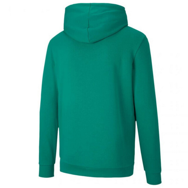 Puma Heren teamgoal 23 hoodie UTMR1146_green large