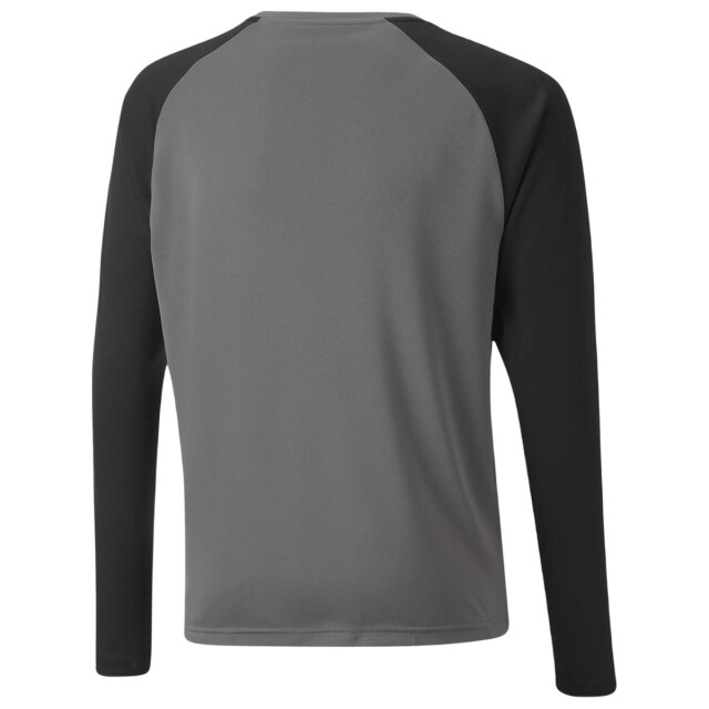 Puma Teampacer keeperstrui voor kinderen/kinderen UTMR1020_grey large