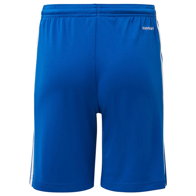 Adidas Kinderen/kinderen squadra 21 korte broek UTMR1024_blue large