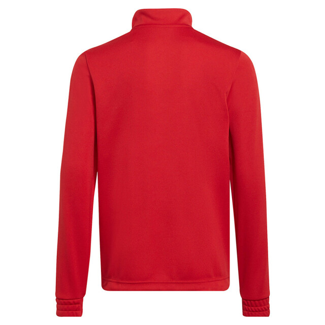 Adidas Kinder/kids entrada 22 trainings top UTMR1017_red large