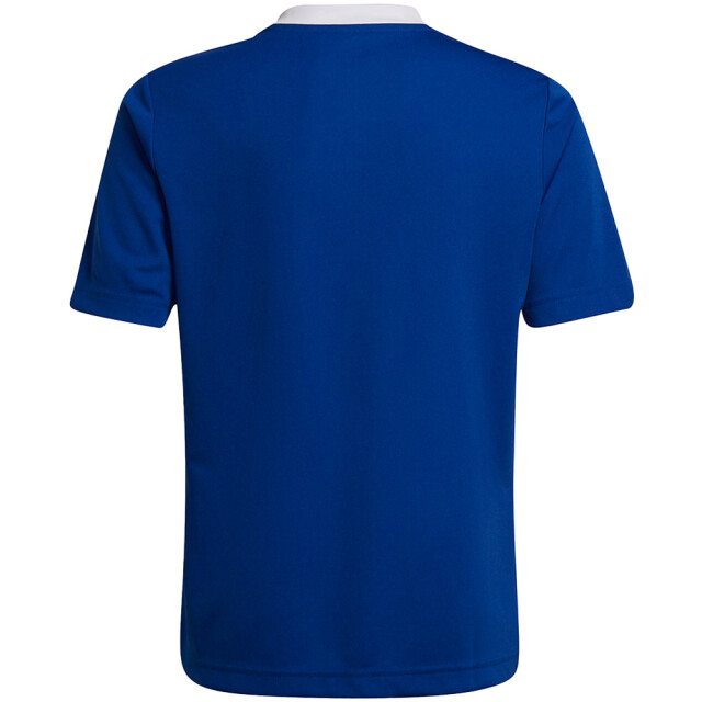 Adidas Kinderen/kinderen entrada 22 t-shirt UTMR702_blue large