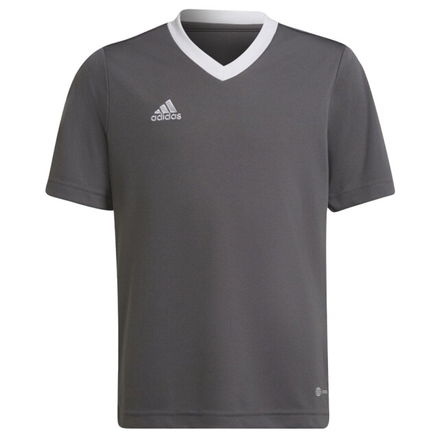 Adidas Kinderen/kinderen entrada 22 t-shirt UTMR702_grey large