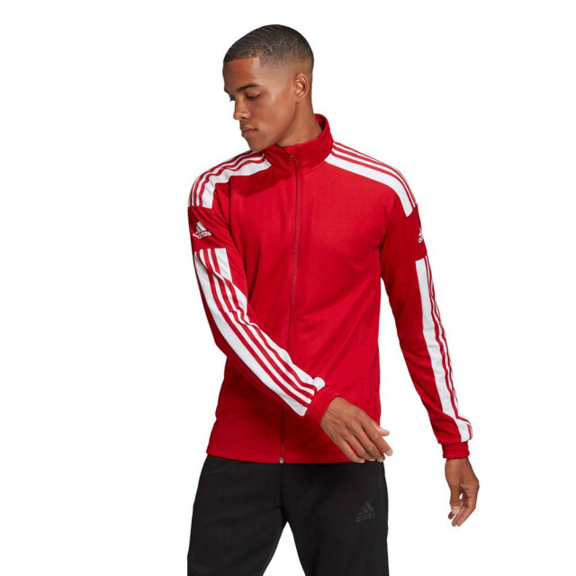 Adidas Heren squadra 21 trainings sweatshirt UTMR723_red large