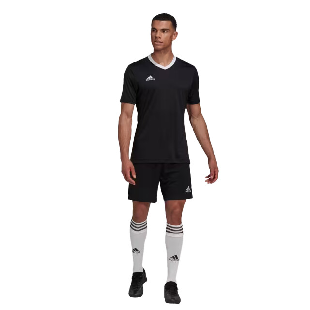 Adidas Heren entrada 22 t-shirt UTMR724_black large