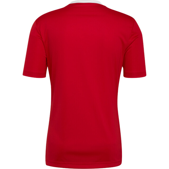 Adidas Kinderen/kinderen entrada 22 t-shirt UTMR702_red large
