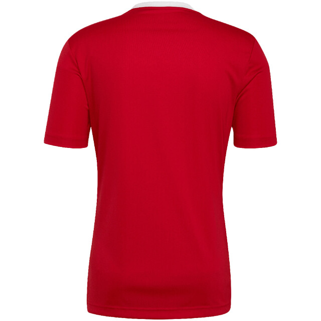Adidas Heren entrada 22 t-shirt UTMR724_red large