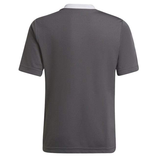 Adidas Kinderen/kinderen entrada 22 t-shirt UTMR702_grey large