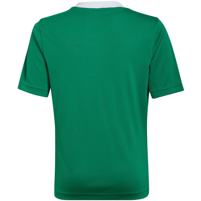 Adidas Kinderen/kinderen entrada 22 t-shirt UTMR702_green large