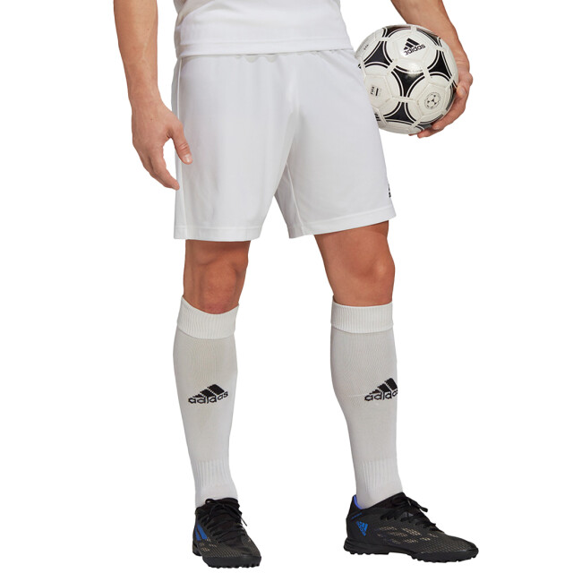 Adidas Heren entrada 22 korte broek UTMR730_white large