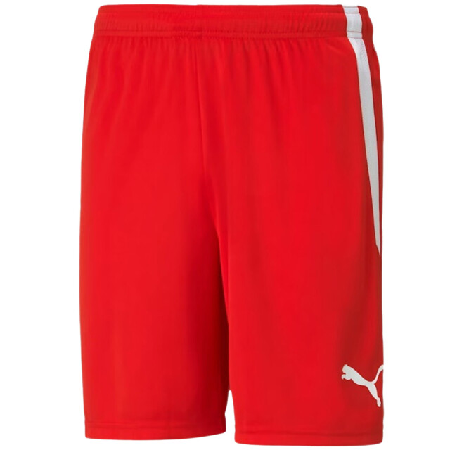 Puma Heren team liga korte broek UTMR718_red large
