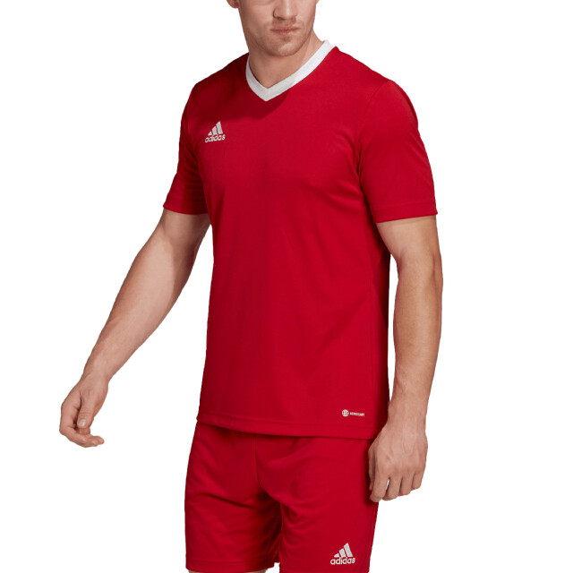 Adidas Heren entrada 22 t-shirt UTMR724_red large