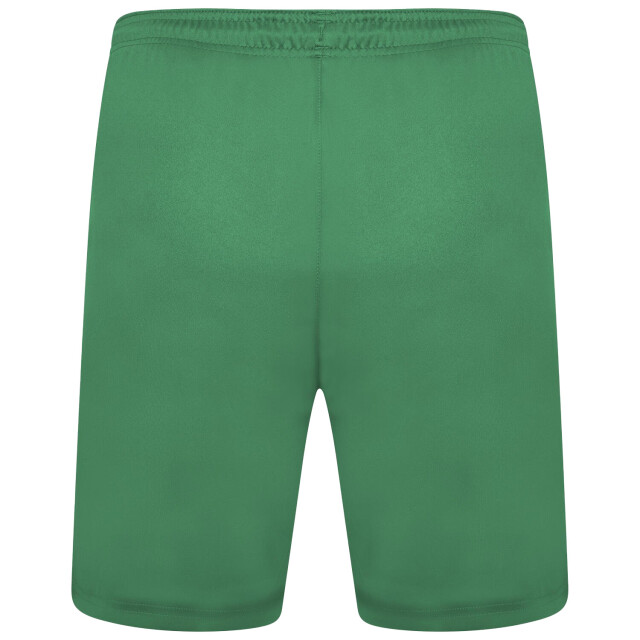 Puma Heren team liga korte broek UTMR718_green large