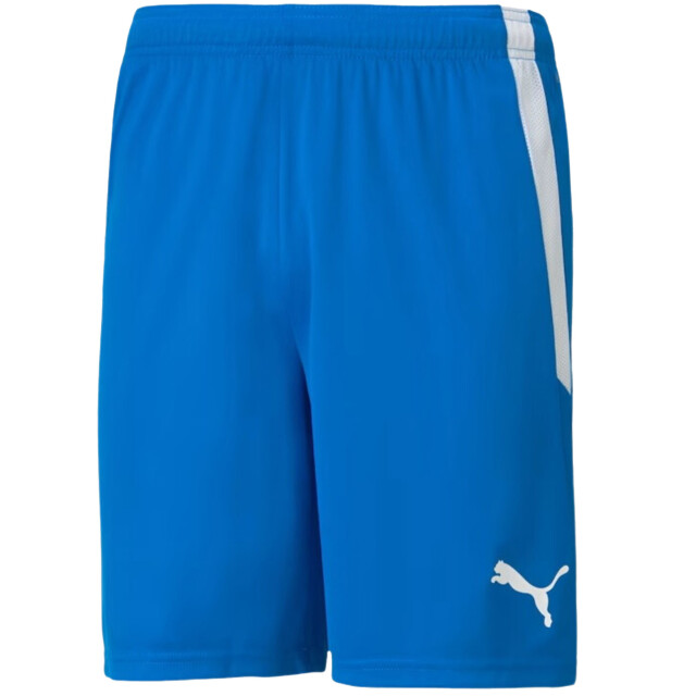 Puma Heren team liga korte broek UTMR718_blue large