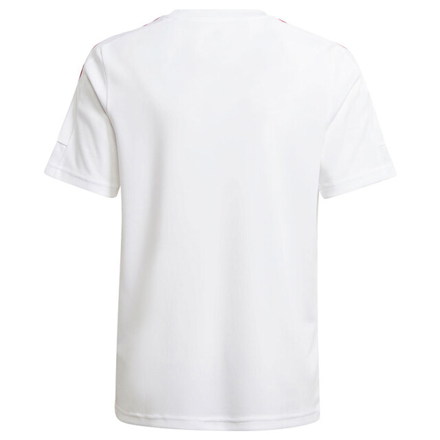 Adidas Squadra 21 jersey voor kinderen UTMR768_white large