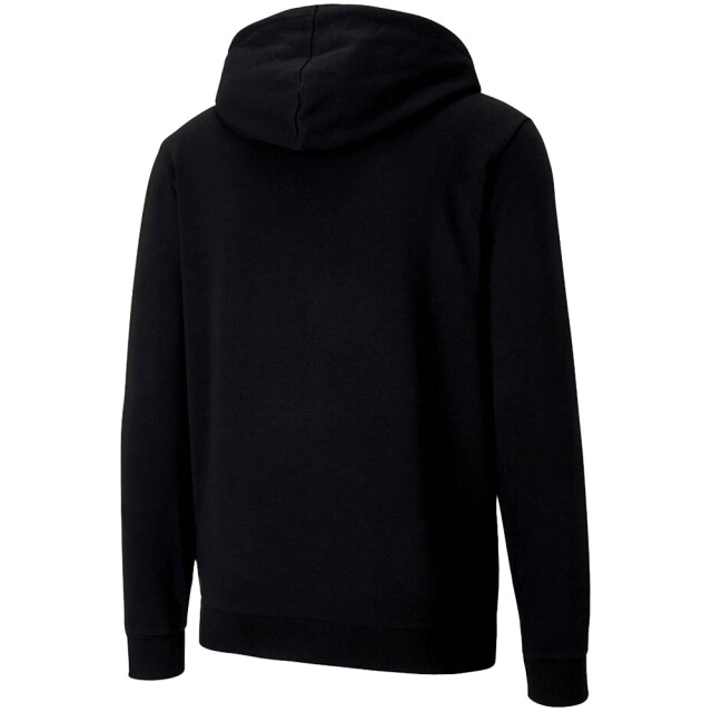 Puma Heren teamgoal 23 hoodie UTMR756_black large