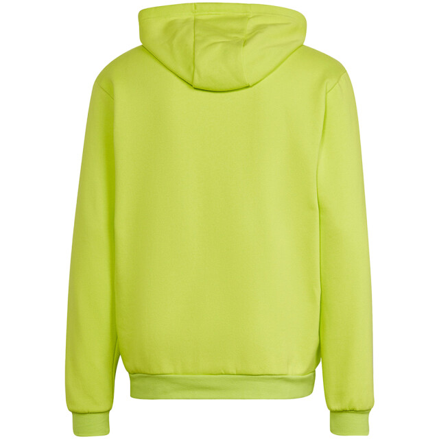 Adidas Heren entrada 22 hoodie UTMR740_green large