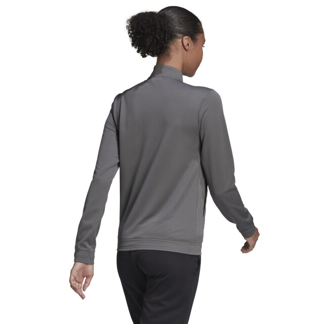Adidas Dames entrada 22 track jacket UTMR828_grey large