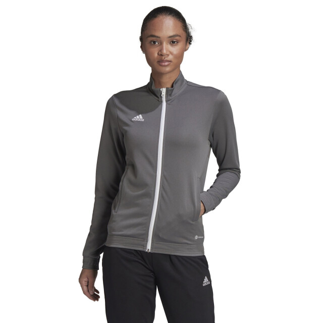 Adidas Dames entrada 22 track jacket UTMR828_grey large