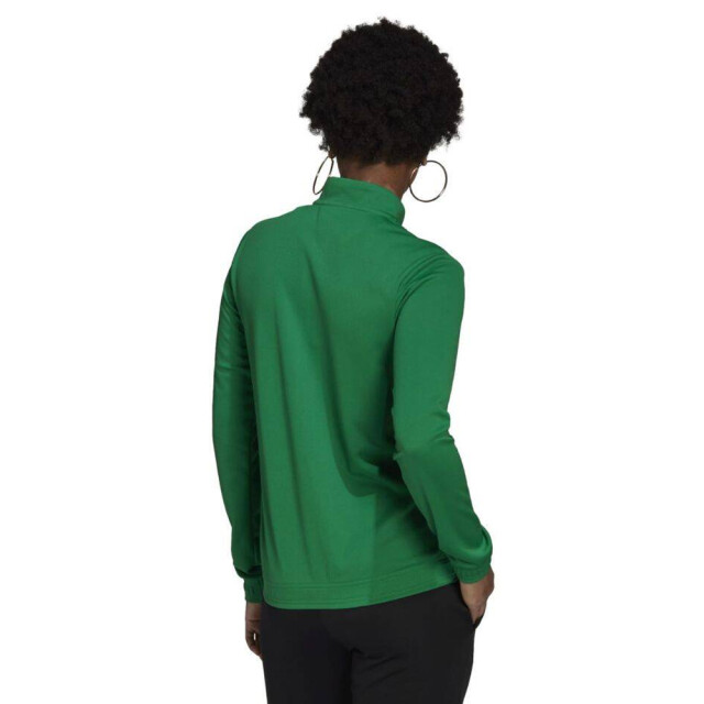 Adidas Dames entrada 22 track jacket UTMR828_green large