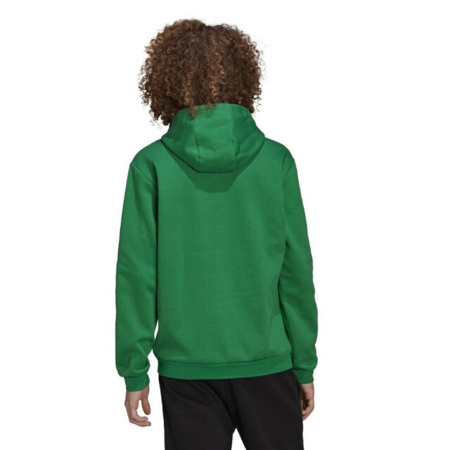 Adidas Heren entrada 22 hoodie UTMR861_green large
