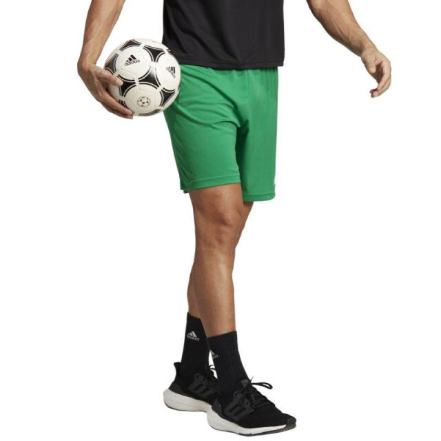 Adidas Heren entrada 22 korte broek UTMR877_green large