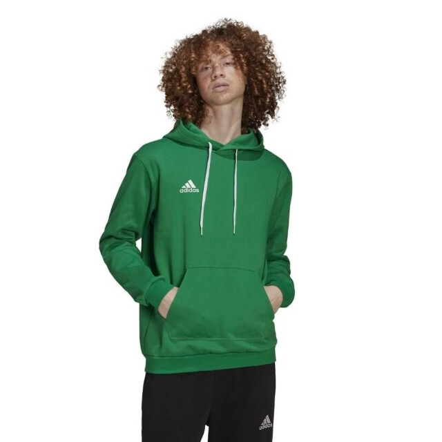 Adidas Heren entrada 22 hoodie UTMR861_green large