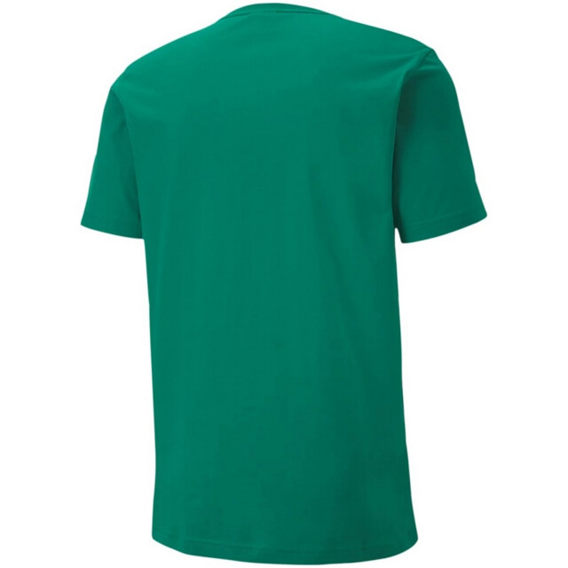 Puma Heren teamgoal 23 t-shirt UTMR898_green large