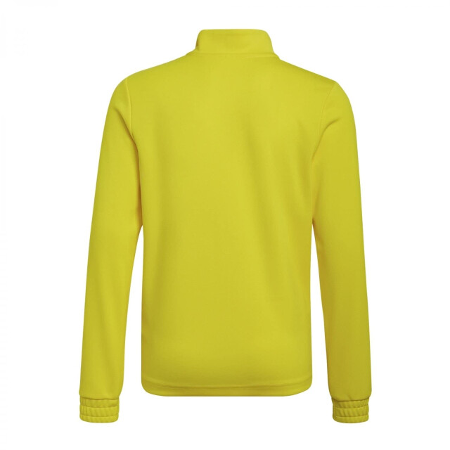 Adidas Kinder/kids entrada 22 trainings top UTMR979_yellow large