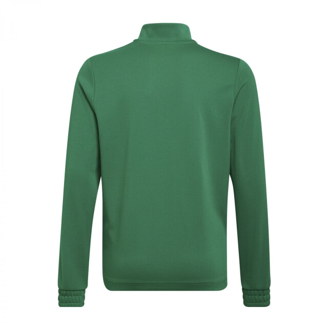 Adidas Kinder/kids entrada 22 trainings top UTMR979_green large