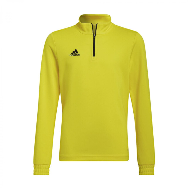 Adidas Kinder/kids entrada 22 trainings top UTMR979_yellow large