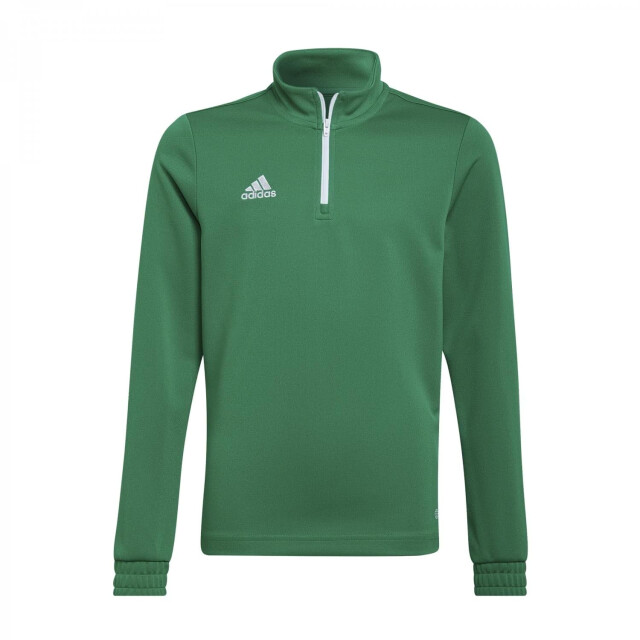Adidas Kinder/kids entrada 22 trainings top UTMR979_green large