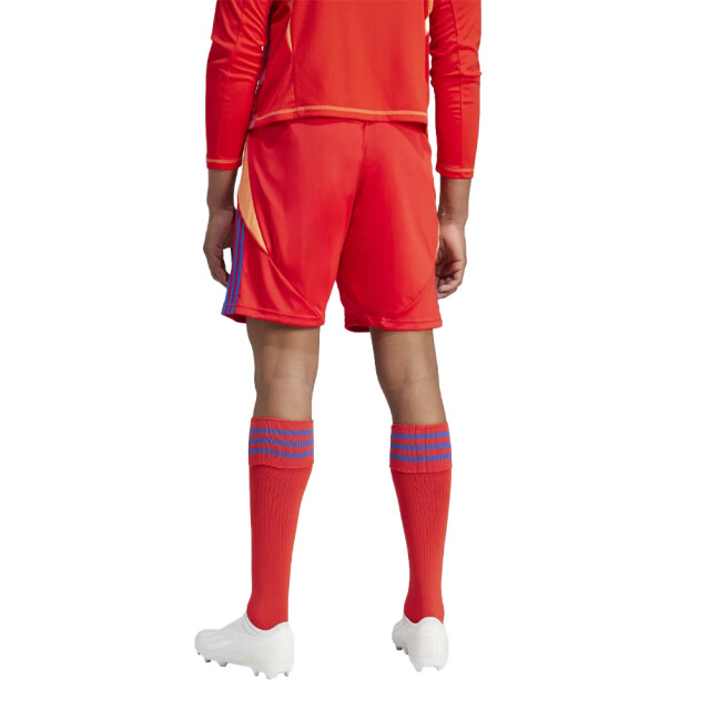 Adidas Heren tiro 24 korte broek UTMR530_redblue large