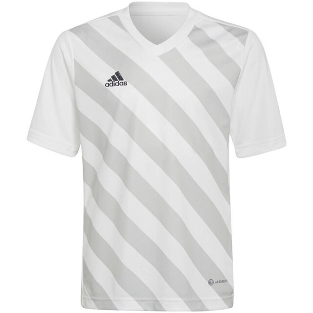 Adidas Kinder/kids entrada 22 grafische trui UTMR674_whitegrey large