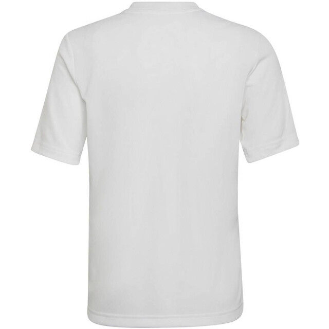 Adidas Kinder/kids entrada 22 grafische trui UTMR674_whitegrey large