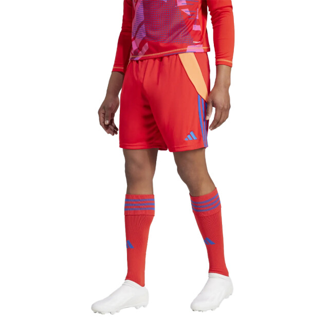 Adidas Heren tiro 24 korte broek UTMR530_redblue large