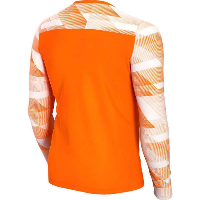 Nike Park iv dri-fit keeperstrui met lange mouwen voor kinderen/kinderen UTMR544_orange large