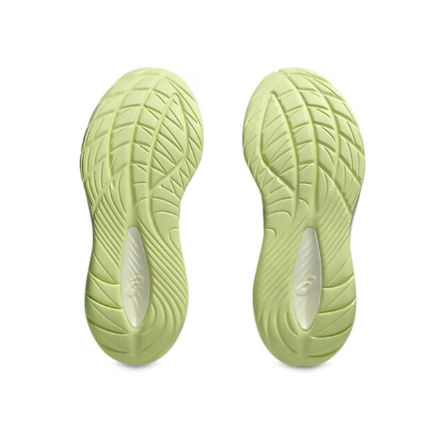 Asics Hardloopschoenen dames 1012B772 large