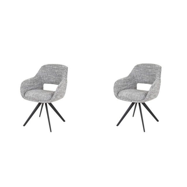 Hoyz armstoel spring draaibaar eagle staal set van 2 3038721 large