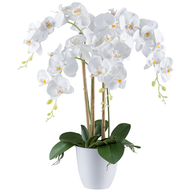 Kopu ® kunstbloem orchidee 62 cm met te pot phalenopsis 3037530 large